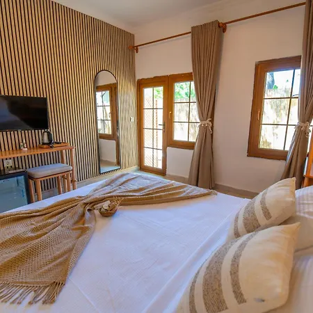 Vodina Lounge 호텔 *